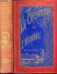 vignette