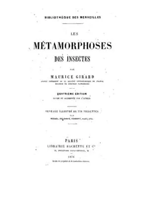 vignette