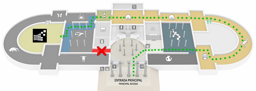 El acceso a la Sede Museo de la Biblioteca se realiza desde el Hall Central, por las salas  Tiempo y Materia, Paleontología, de Exhibición Temporaria y de Zoología.